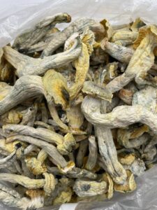 Shrooms